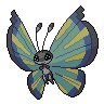 Dark Vivillon (Savanna)